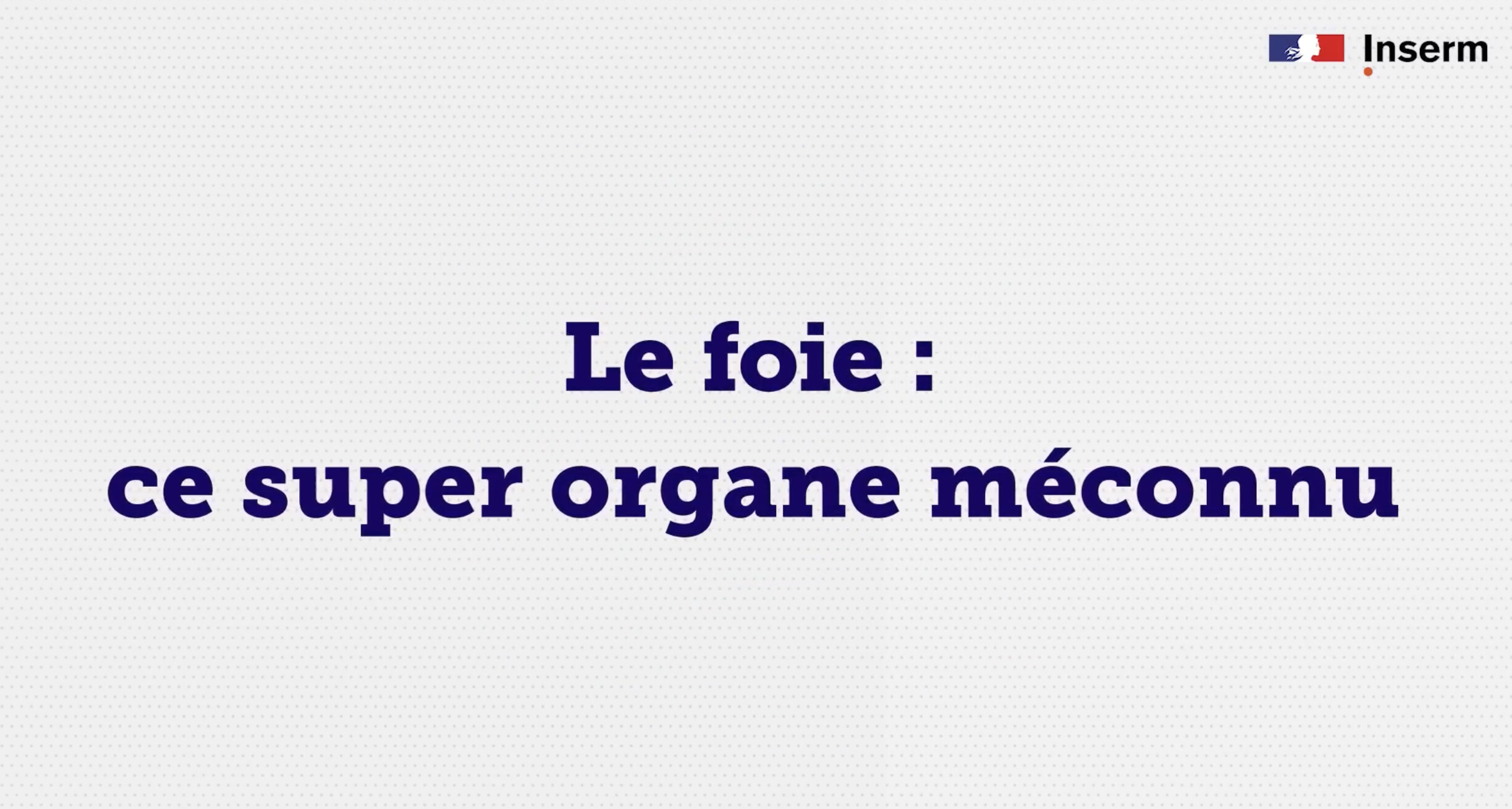 Le foie ce super organe mconnu